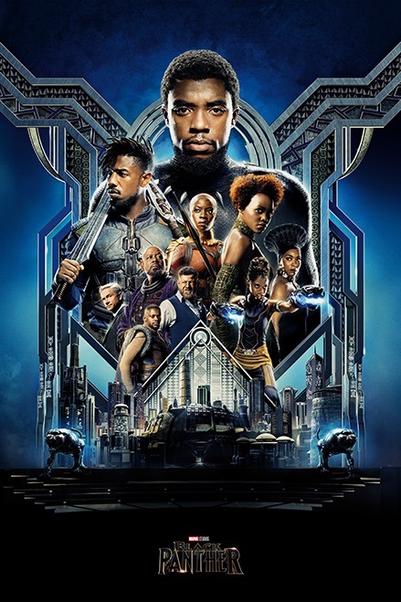  DVD 12 Black Panther